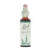 Agrimony-kukkatipat (Maarianverijuuri) No 1, 20 ml