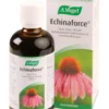 Echinaforce - punahattu-uute, 100 ml