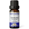 Eukalyptus, eteerinen öljy, 10 ml