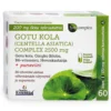 Fytocomplex Gotu Kola + Hevoskastanja + Neidonhiuspuu + punaviininlehti + B6