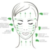 Gua sha Beauty Tool, ruusukvartsi (guasha)