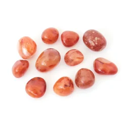 Karneoli rumpuhiottu