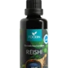 Reishi-tinktuura, kotimainen, 50 ml