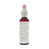Star of Betlehem -kukkatipat (Sarjatähdikki) No 29, 20 ml