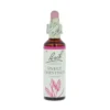 Sweet Chestnut -kukkatipat (Jalokastanja) No 30, 20 ml