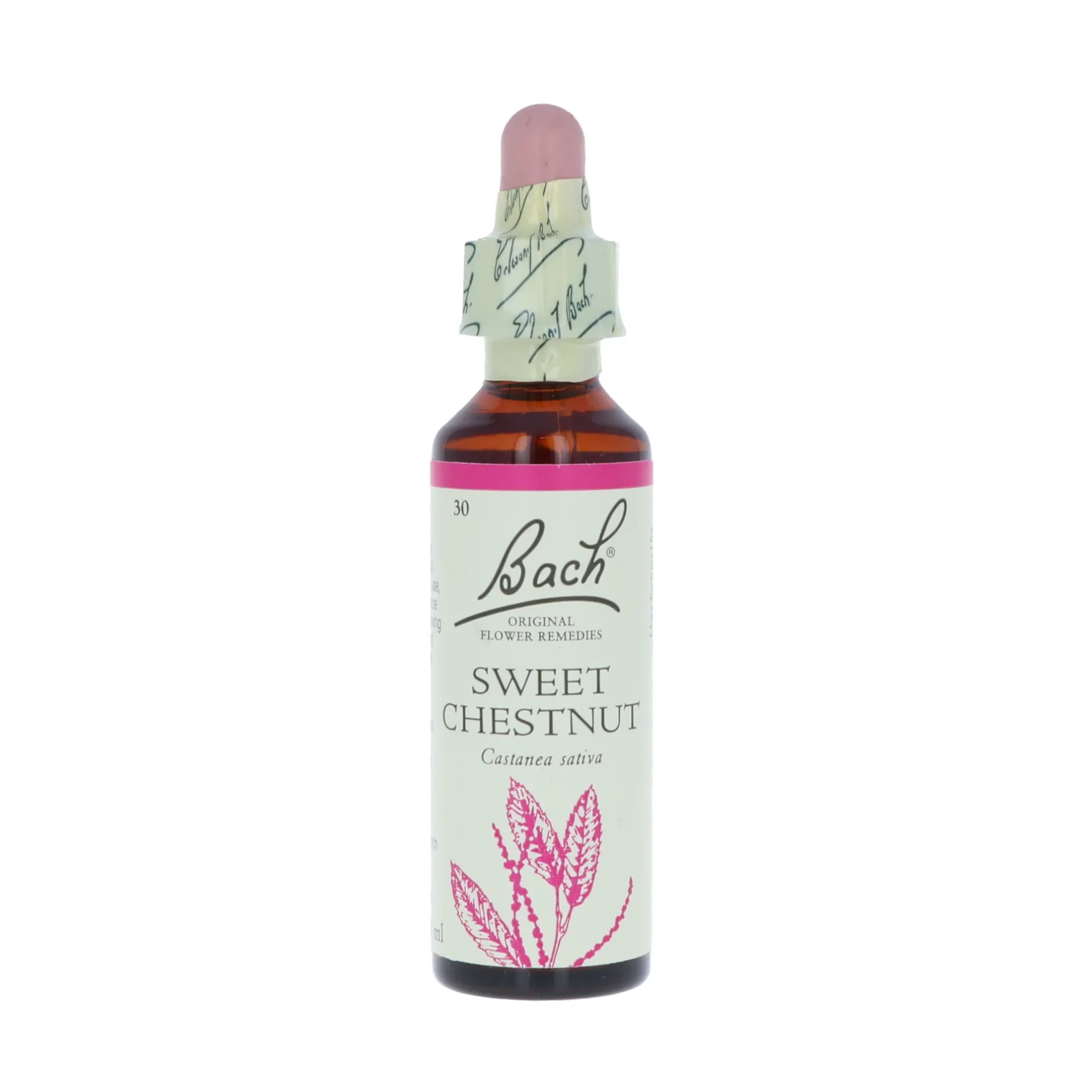Sweet Chestnut -kukkatipat (Jalokastanja) No 30, 20 ml