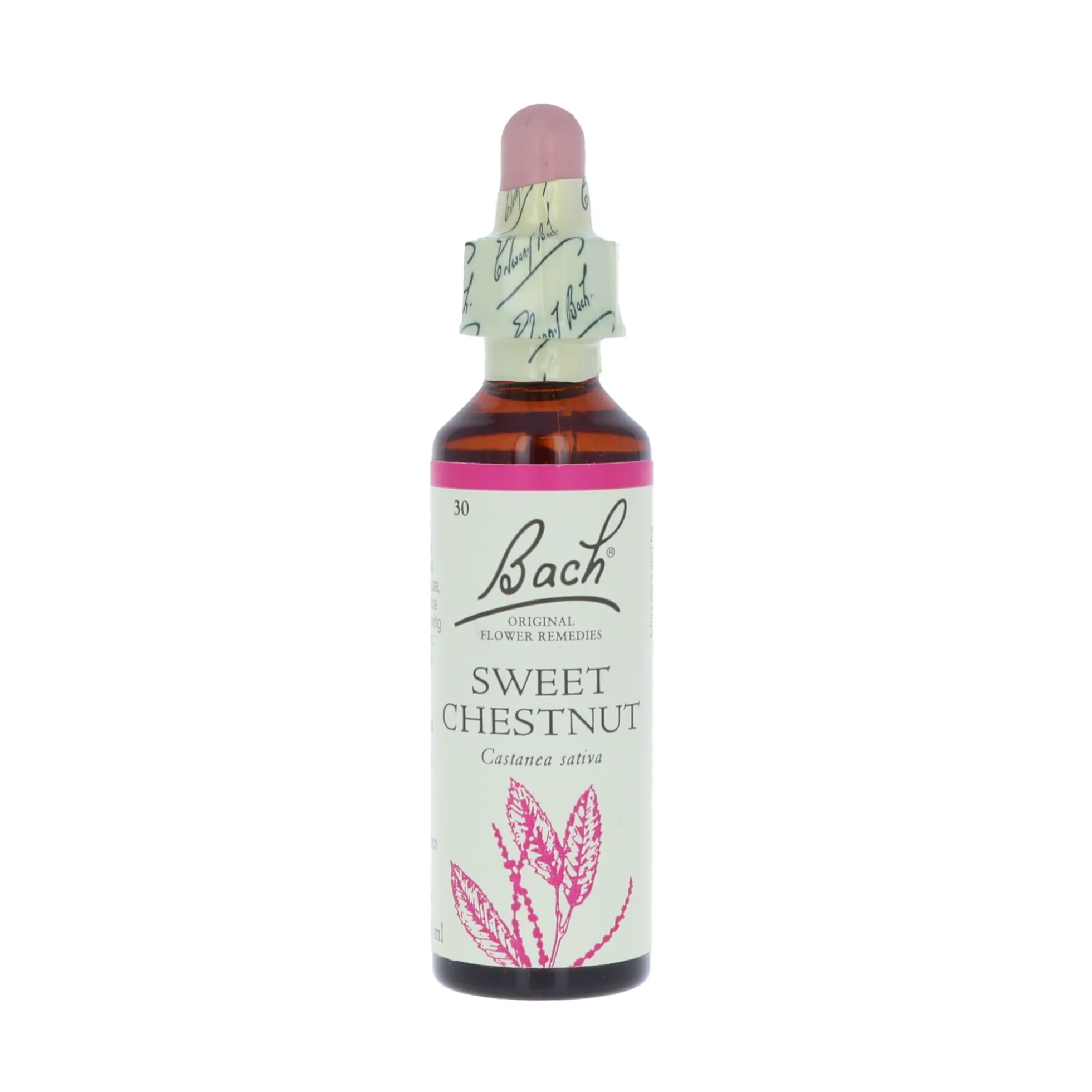 Sweet Chestnut -kukkatipat (Jalokastanja) No 30, 20 ml