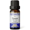 Tea Tree, eteerinen öljy, 10 ml