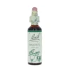 Walnut-kukkatipat (Saksanpähkinä) No 33, 20 ml