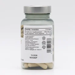 Zingiber (Inkivääri) 60 kaps